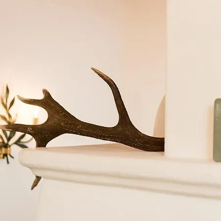 شقة أنسيتز فيرتسغوت - فاميليان أبارتمنتس ان دي بيرغن