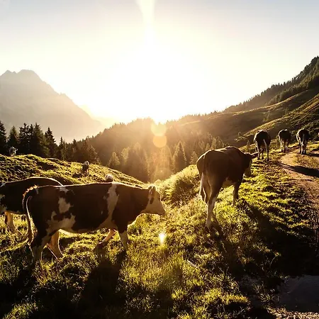 Ansitz Wirtsgut - Familienappartements In Den Bergen Apartment *